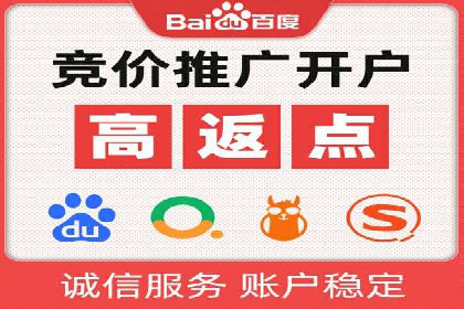 行业领先企业的SEM竞价代运营案例解析